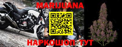 сатива Коммунар