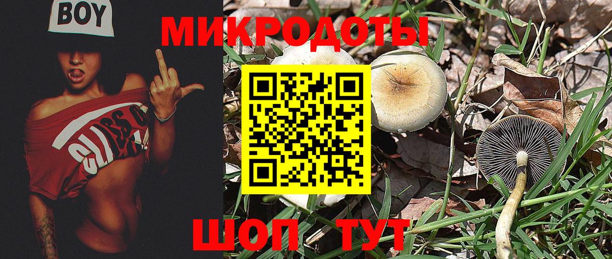 Галлюциногенные грибы GOLDEN TEACHER  Псилоцибиновые грибы мухоморы  Кимры  Вход с VPN 