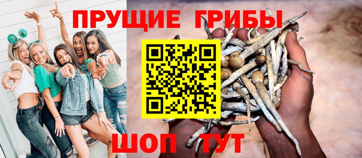 Псилоцибиновые грибы мухоморы Кимры